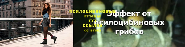 трава Надым