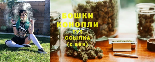 PSILOCYBIN Навашино