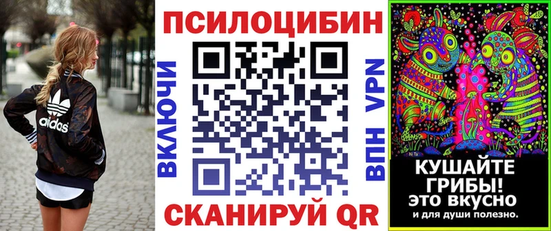 закладка  Сатка  Галлюциногенные грибы Magic Shrooms 