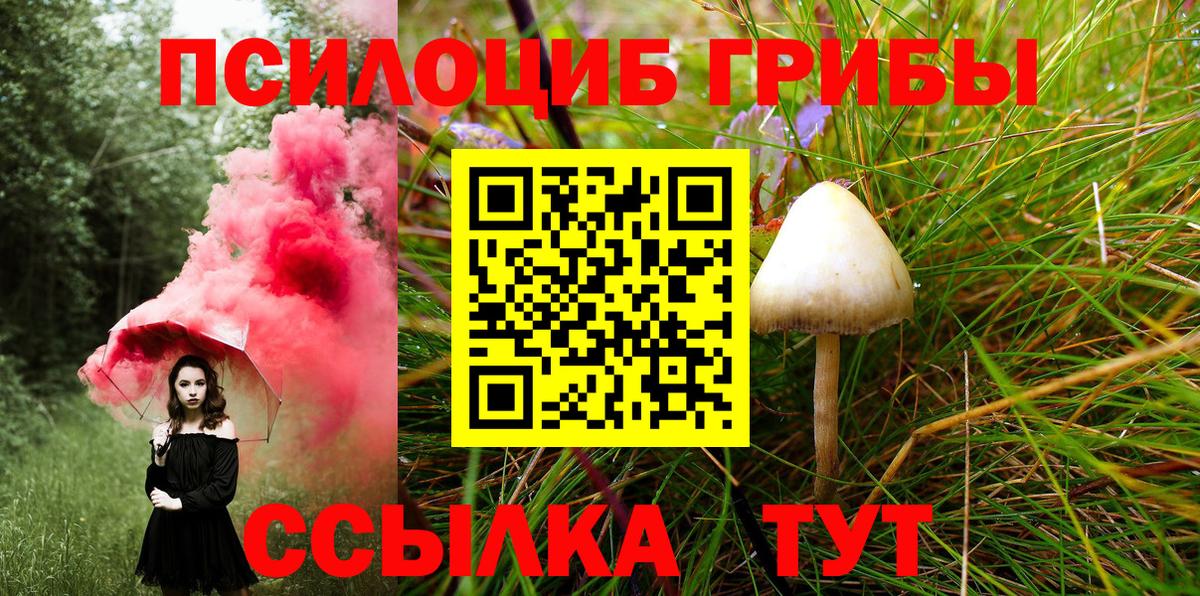 Псилоцибиновые грибы MAGIC MUSHROOMS Сатка