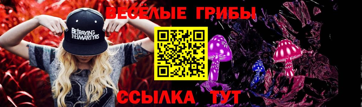 Галлюциногенные грибы Psilocybine cubensis  Вход с VPN  Сатка 